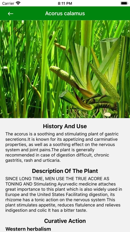 Medicinal plants of the world