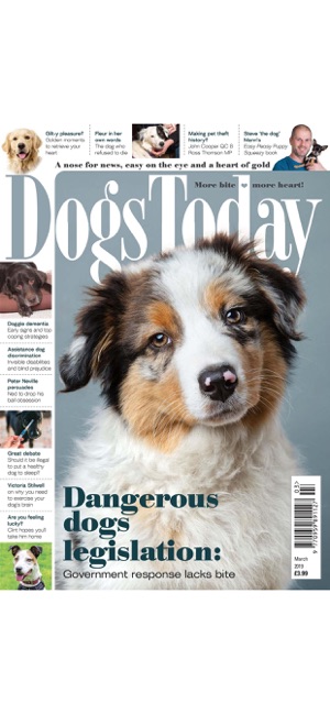 Dogs Today Magazine(圖4)-速報App