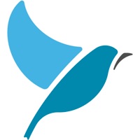 Bluebird: Learn 163 Languages pour PC