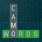 Camo Words challenges you to find 6 words in 60 seconds