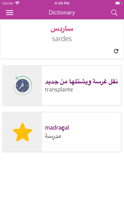 Arabic Portuguese Dictionary screenshot-7