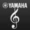 This AV Controller app will turn your iPhone/iPod touch/iPad into a Wi-Fi enabled remote control for your Yamaha network products(*)