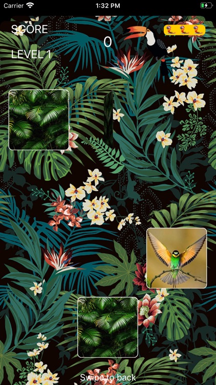 Parrot Marrot Guesserio