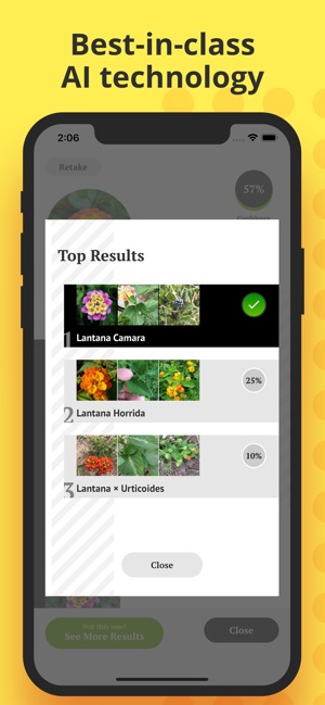 Plant Identification(圖4)-速報App