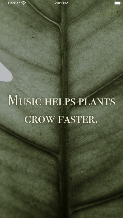 Daily Random Facts screenshot-8