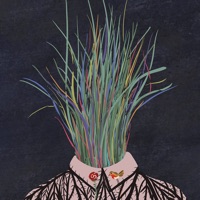 西柚壁纸 - 创意摄影与绘画插画