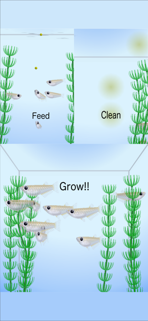 Rice Fish(圖3)-速報App