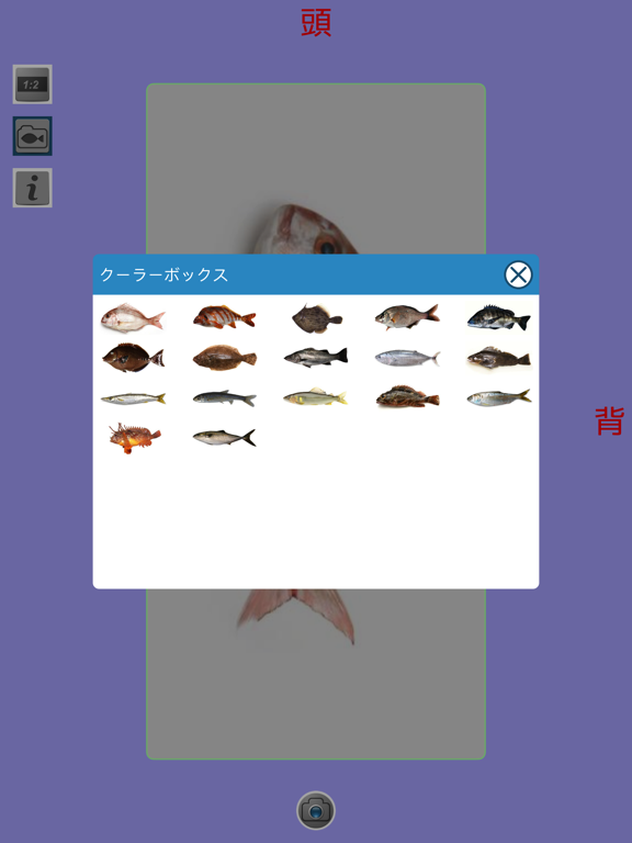 教えて!魚のおすすめ画像4