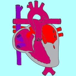 Single Ventricle Circulation