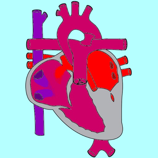 Single Ventricle Circulation