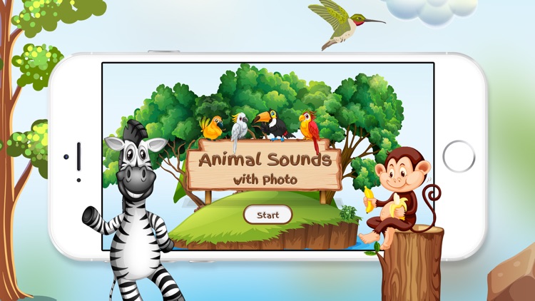 Animal Sounds with Photo