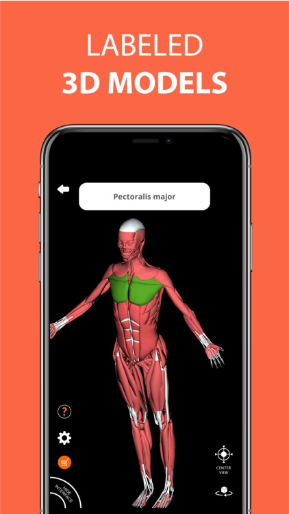 Human Anatomy 3D - Medical