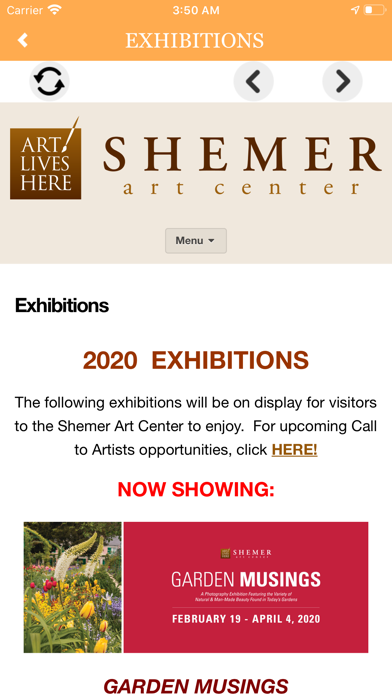 Shemer Art Center screenshot 2