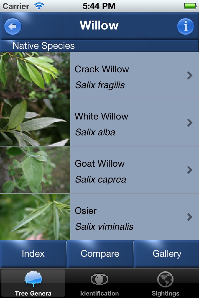 Tree Id identify UK trees screenshot 2