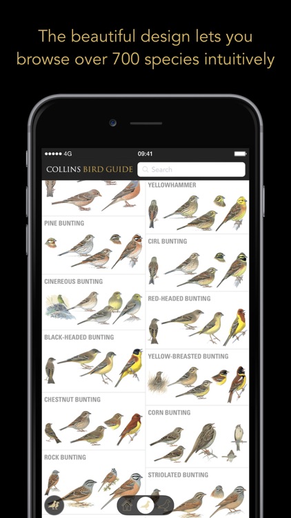 Collins Bird Guide screenshot-0