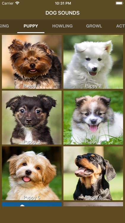 Dog Sounds - Collection