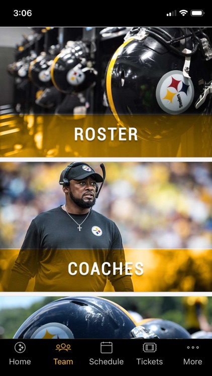 Pittsburgh Steelers screenshot-4