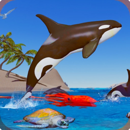 Orca Killer Whale Simulator by Abdur Rafay