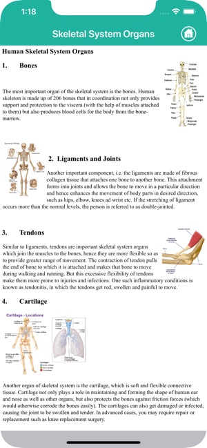 Anatomy - Skeletal System(圖7)-速報App