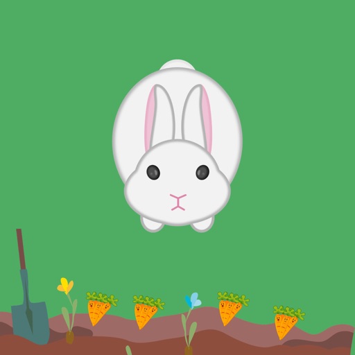 Rabbit in the garden