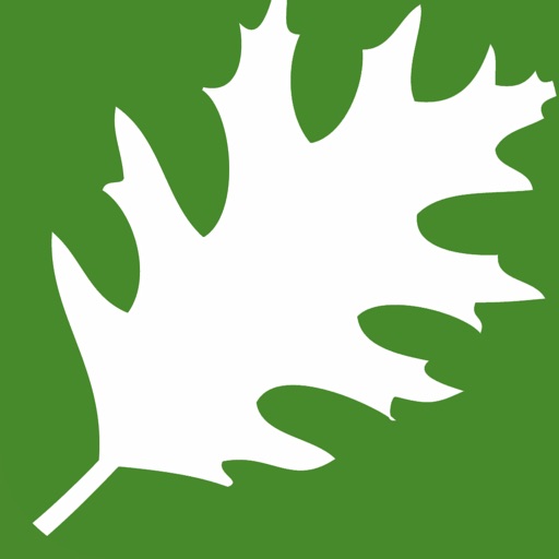 Relyance Bank Icon