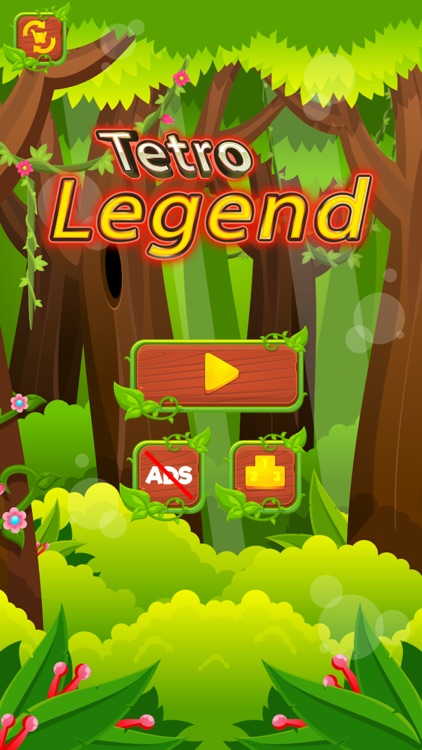 Tetro Legend - Block Puzzle screenshot-4