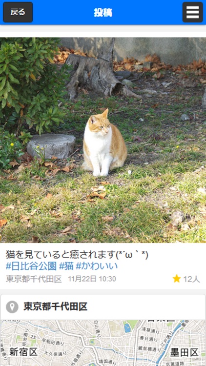iCommu - 現地の写真を共有する匿名SNS