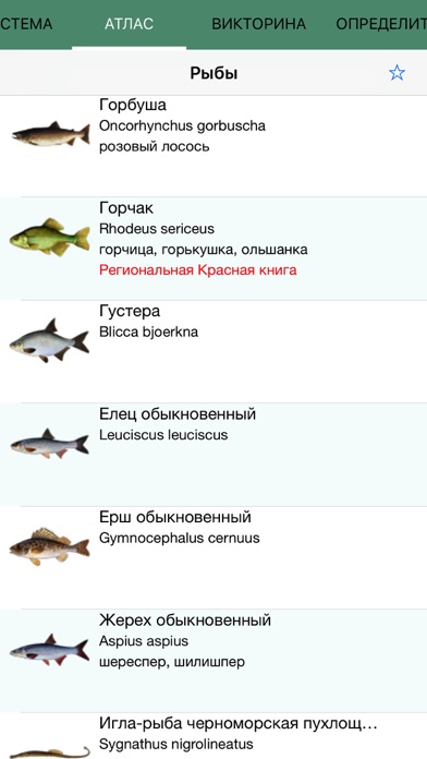 Экогид - Рыбалка и рыбы screenshot 2