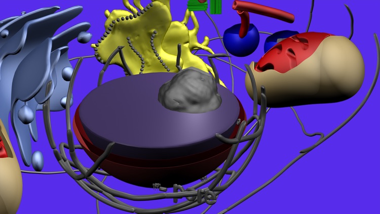 Cell Structure in 3D