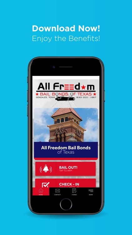 All Freedom Bail Bonds TX