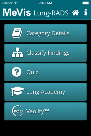 MeVis Lung-RADS - náhled
