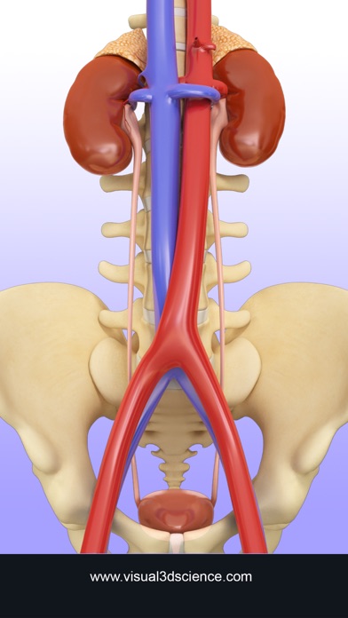 How to cancel & delete Urinary System from iphone & ipad 1