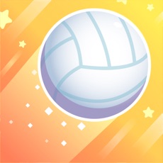 Activities of Volly Bolly