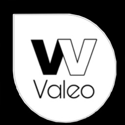 Valeo Serviços