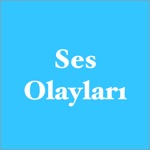 Ses Bilgisi Olayları
