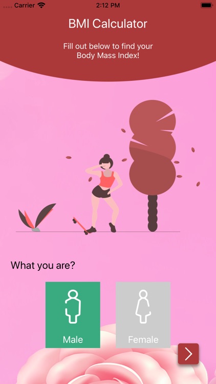 Physical Health-BMI Calculatio