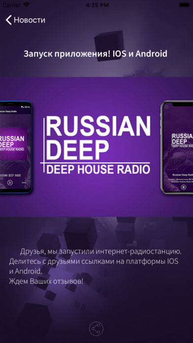 Russian Deep Radio screenshot 3