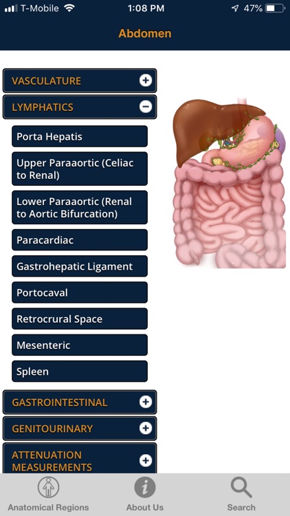 CTisus Diagnostic Measurements