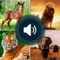 Animal sounds Learner will help parents teach the animals as animal zoo, animal farm to their children while having fun at the same time