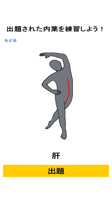 経絡のびのび体操・五臓ラジオ体操【学習キット】のおすすめ画像2