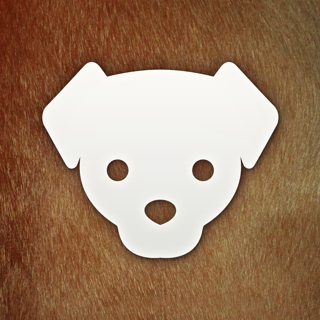About Icon