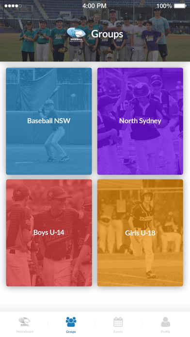 Baseball NSW screenshot 2