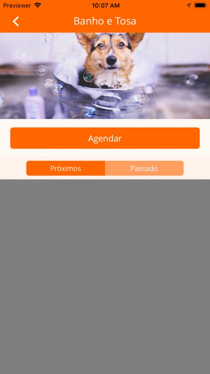 Amaro’s Bichos Pet Shop