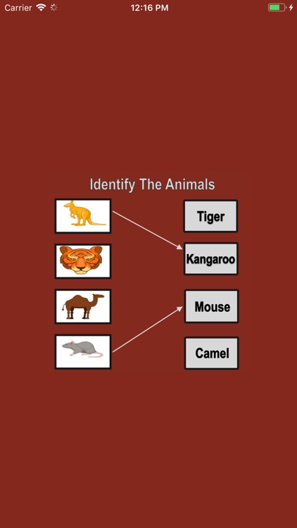 Identify The Animals