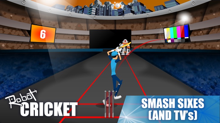 Robot Cricket screenshot-3