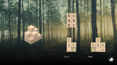 Blocks In The Woods screenshot 3