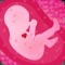 Listen to your baby’s heart beat in mom tummy with baby heartbeat monitor app