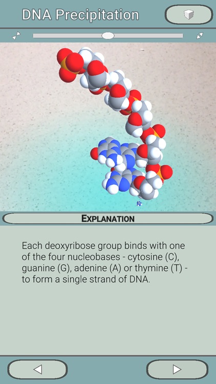 DNA Precipitation AR