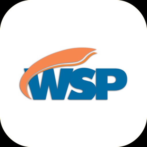 WSP - Telecom icon