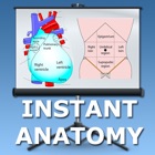 Anatomy Thorax and Abdomen